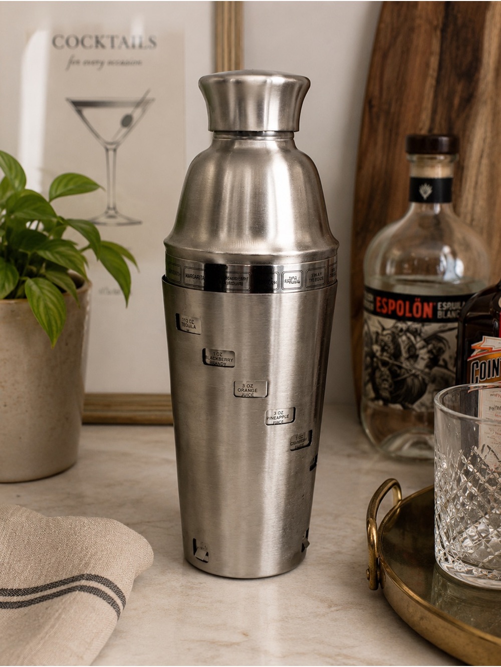 Stainless Steel Cocktail Shaker - Silver